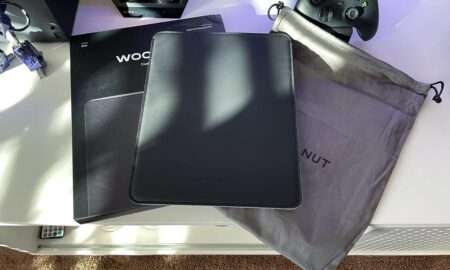 Woolnut Coated iPad Sleeve
